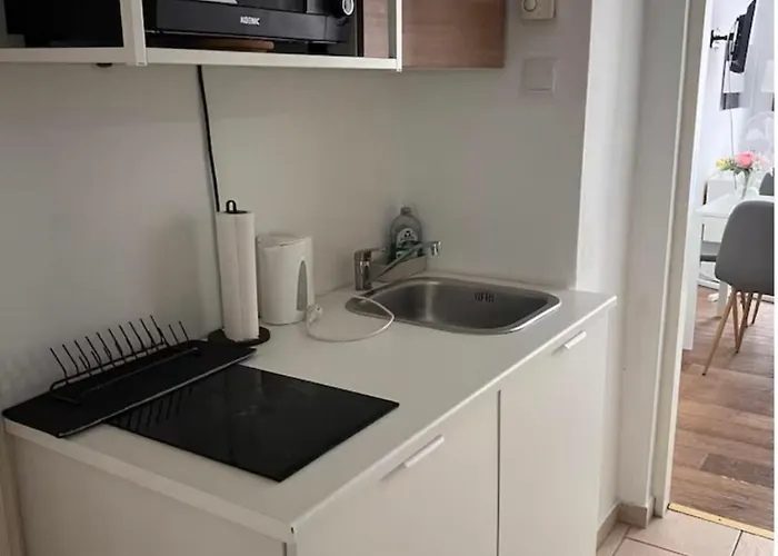 19 * Viyana